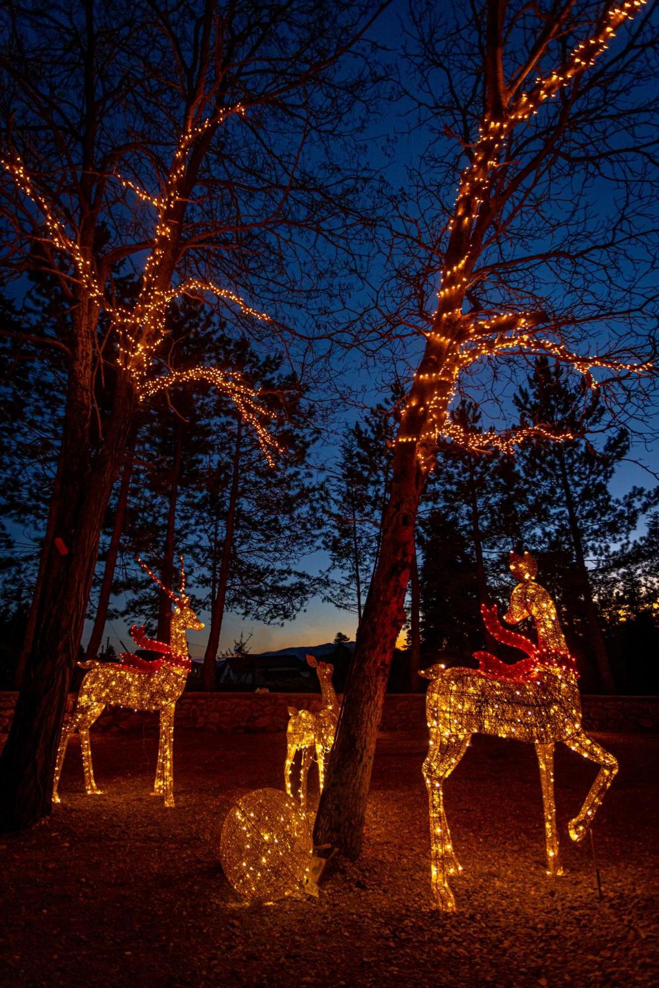 فندق Mz Reindeer Kalívia المظهر الخارجي الصورة